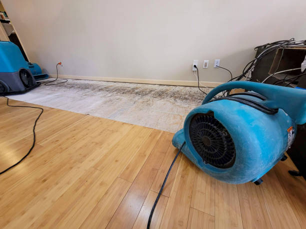 Professional Sewage Cleanup technician working in Bunola, PA